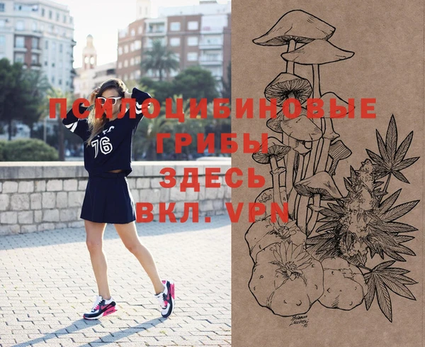 амф Абинск