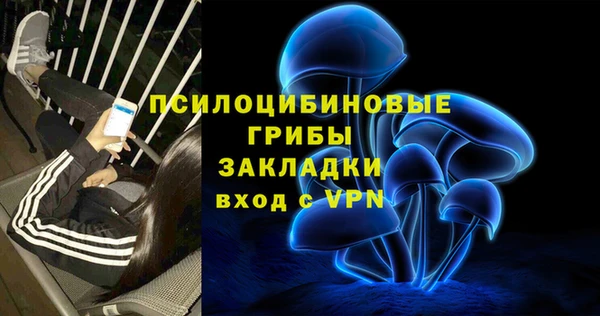 ГАЛЛЮЦИНОГЕННЫЕ ГРИБЫ Алексин